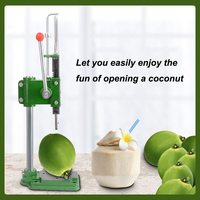 Outil portable pour percer la noix de coco, ouvre-noix de coco frais, ouvre-noix de coco à retirer le noyau