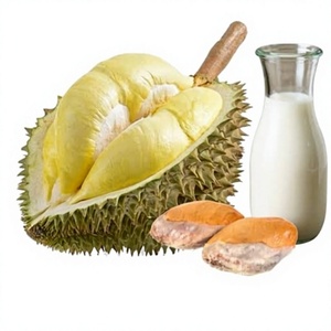Harina de Semilla de Durian Zibethinus, Polvo de Semilla de Durian Seca, Harina de Semilla de Durian, Polvo Blanco Fino para Hornear, Alta Elasticidad, a Granel - Product Image 1