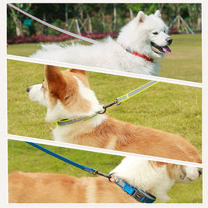 Atacado macio acolchoado ajustável reflexivo couro cão colar e coleira conjunto para cães pequenos a grandes - Product Image 4