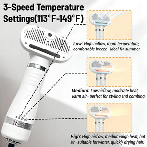 Brosse de massage vapeur pour animaux de compagnie, peigne <span class=keywords><strong>à</strong></span> <span class=keywords><strong>tête</strong></span> ronde sûre avec dents souples, peigne de toilettage anti-poils pour chiens et chats, accessoires universels - Product Image 2