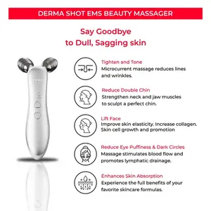 Beschikbaar Voor Therapie Face Lifting Massage Instrument Ems V-Vorm Gezichtscontouren Met 3d Massage Roller Beauty Bar