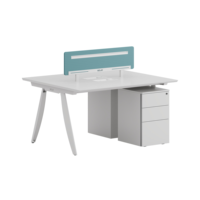 Poste de travail minimaliste et écologique blanc pour 2 personnes avec cloison pour bureau d'équipe et coworking