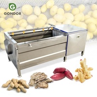 Ultrasoon beluchtingsapparaat voor mango's, aardappelen, gember, fruit en groenten (Wastanklijn)