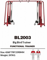 Máquina de Poleas Comercial BL2003 Big Bird Trainer, Equipo de Gimnasio para Entrenamiento de Fuerza Funcional para Clubes de Fitness