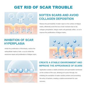Crema Reparadora de Cicatrices al por Mayor de 20g con Fórmula Suave, Extracto de Plantas y Arbutina para el Cuidado Diario y la Reducción de Melanina - Product Image 5