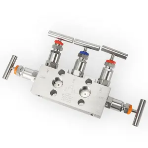 Instrument Industrial 5 Valve Manifold for Pressure Transmittes Manufacture and Supplier Stainless Steel 5 Way Manifold Valve