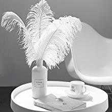 Erfz nhà máy xuất khẩu hàng đầu bán số lượng lớn màu Tước Bạc grey lớn đà điểu lông cho đám cưới - Product Image 6