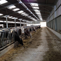 Structure en treillis métallique robuste pour l'élevage, abri économique préfabriqué en treillis métallique pour animaux pour l'élevage mixte
