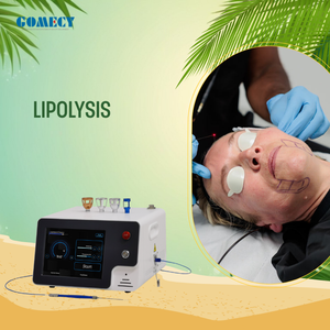 Láser Diodo Médico de 980nm, 1470nm y 635nm para el Tratamiento del Eczema y Herpes, Reducción de la Inflamación y Aceleración de la Curación de Heridas - Product Image 1