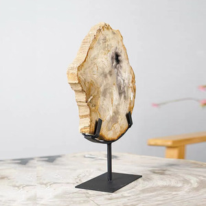 Cát màu Slice của gỗ hóa đá với đứng gỗ hóa thạch slab Slice - Product Image 2