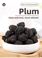 En gros, Prunes séchées en vrac, Matière première pour soupe de prunes aigres, Fruits séchés fumés, Tisane aux herbes chinoises, 500g, Réfrigération