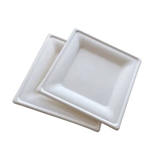 Platos Cuadrados para Postre de 6 Pulgadas, Compostables, Desechables y Biodegradables de Alta Calidad para la Industria de la Hostelería - Product Image 1