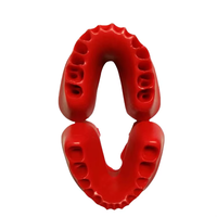 Modelo de Arco Dental en Forma de U de Doble Capa Desmontable para Enseñanza Dental