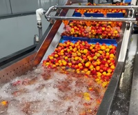 Commerciële fruit- en groentewasser, industriële groente-ozonbel-wasmachine