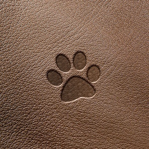 Hot Selling Products: Factory WholesaleCustomized Personalized Seal, Used for Leather,Paper, <b>Plastic</b> and Other Printing - Product Image 5