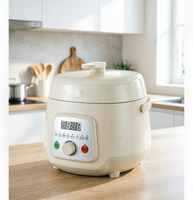 Cuisinière à riz électrique multifonctionnelle mini 2,5 L 600 W pour la vente en gros PC50-E
