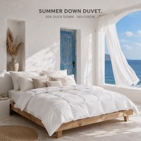 Couette matelassée légère d'été Xueruisha 50% duvet de canard blanc, rafraîchissante, respirante, écologique, en coton anti-déchirure, matelassage en boîte