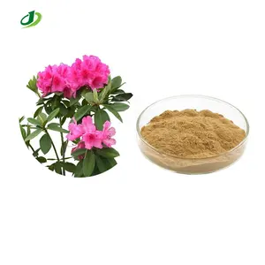 Azalea extract powder Rhododendron caucasicum extract Geranium extract 10:1