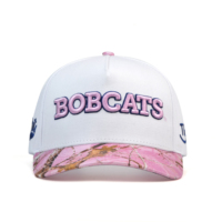 Casquette de baseball bicolore avec logo personnalisé imprimé sur le bord, casquette de baseball brodée 3D personnalisée, casquette de baseball à 5 panneaux, casquettes de sport