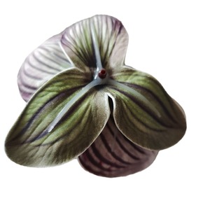 Silicone 3D bướm phong lan đầu trang trí đám cưới bán buôn hoa nhân tạo phalaenopsis cánh hoa - Product Image 5