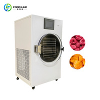 Huishoudelijke voedselveilige kleine vriesdroogmachine voor het maken van zelfgemaakte fruitchips, kleine vriesdroogmachine