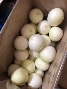 2023 Of Sinofarm Brand Fresh 10kg Whole Peeled Onion Price Red And Yellow Onions Peeled Chinese Fresh Onions Fresh Vegetables