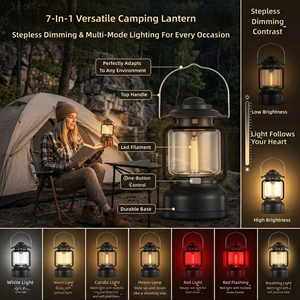 Lampe de camping multifonctionnelle transfrontalière, étanche, à suspendre en tente, LED rechargeable 5W, ambiance rétro - Product Image 4