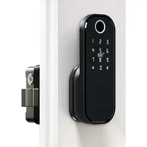 Tuya — serrure électronique intelligente de porte, sans clé, fonctionne avec l'application Wifi, Tt Lock, Rfid numérique, contrôle d'accès