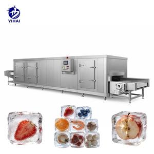 Congelador <span class=keywords><strong>de</strong></span> túnel <span class=keywords><strong>de</strong></span> alta gama, control preciso <span class=keywords><strong>de</strong></span> temperatura, equipo premium para el procesamiento <span class=keywords><strong>de</strong></span> alimentos congelados - Product Image 1