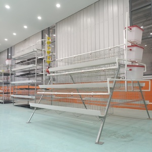 Cage à poules pondeuses de <span class=keywords><strong>type</strong></span> A, galvanisée à chaud, 3/4 niveaux, pour poules pondeuses, équipement d'élevage avicole - Product Image 5