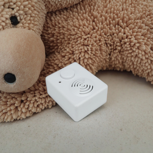 Module Enregistreur Vocal 30 Secondes - Pour Peluches Et Jouets - Facile à Insérer Et à Utiliser