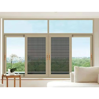 Ventanas Corredizas de Doble Acristalamiento con Vidrio Low-E y Mosquitera, de Aluminio, Gran Venta en el Sudeste Asiático