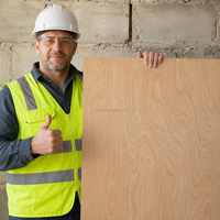 Panneau de contreplaqué en eucalyptus massif brut pour emballage, coffrage béton, sous-plancher, WBP, étanche, MR