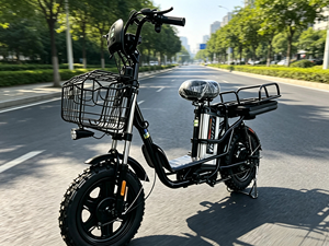 Bicicletas Eléctricas de Carga Rusas de 16 Pulgadas, Más Vendidas, <span class=keywords><strong>con</strong></span> Doble Batería, Equipadas <span class=keywords><strong>con</strong></span> <span class=keywords><strong>Dos</strong></span> Conjuntos de Baterías de Litio de 48V 20Ah - Product Image 1