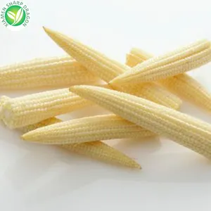 Importers Production Line Wholesale Frozen Baby Corn Cob Of Price