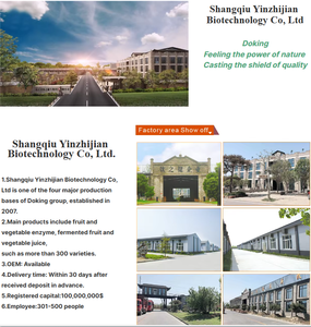 Ingredienti Premium per Bubble Tea Halal OEM/ODM, Polvere per Tè al Latte alla Fragola per Negozi di Bevande - Product Image 6