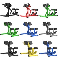 Machine d'extension de dossier de gymnastique de chaise romaine en acier de logo personnalisé pour les fessiers abdominaux de musculation et l'entraînement de base; banc de musculation