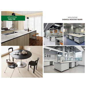 Yeni gelenler <span class=keywords><strong>Hpl</strong></span> masa üreticisi brioffice kompakt laminat ofis okul için ofis masası su geçirmez kompakt <span class=keywords><strong>Hpl</strong></span> masa üstü - Product Image 3