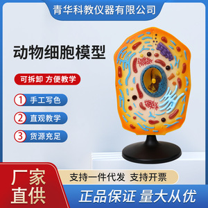 Instruments pédagogiques, aides à l'enseignement et instruments scientifiques pour le traitement et la personnalisation des modèles de cellules animales Qinghua - Product Image 5