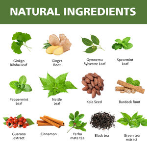 Thé aux herbes aromatisé en sachets de 15 g, marque privée, ingrédients caféine et Yerba Maté, thé pour <span class=keywords><strong>jeûne</strong></span> <span class=keywords><strong>intermittent</strong></span> - Product Image 5