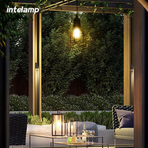 Intelamp Waterproof Metal Hanging Garden Lanterns <strong>Lights</strong> Bulb <strong>Cage</strong> Solar Garage Lamp Outdoor Pendant <strong>Light</strong> - Product Image 5