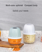 RAYBIN cuisine usb mini portable sans fil ail fruits légumes outils oignon nourriture électrique coupe-légumes