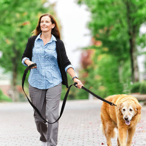 Laisse pour chien réfléchissante multifonctionnelle, laisse pour chien de taille moyenne, utilisation en extérieur - Product Image 2