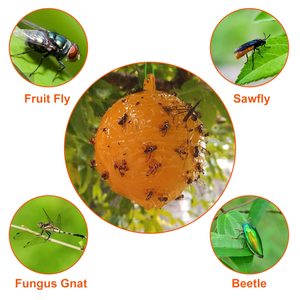 A48 Venta caliente jardinería invernadero fruta mosca pegamento insecto Catcher desechable Fly Catcher pegamento pegajoso fruta mosca trampa bola - Product Image 2