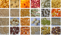 Máquina de Snacks Saludables Puffs, Máquina de Arroz Inflado, Mini Extrusora de Maíz, Extrusora a Pequeña Escala para Maíz y Arroz