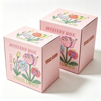 Boîtes mystères de décoration de poupées vides, boîtes mystères de mode pour enfants, coffrets cadeaux pour concerts, sacs surprises, boîtes d'emballage de jouets