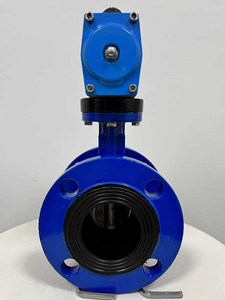 Proveedor de Válvulas de Mariposa de Hierro Fundido Tipo Marino DN20-DN300 de Buena Venta - Product Image 1