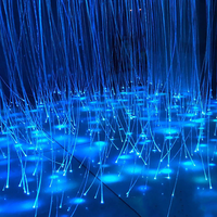 Rideau de lumières interactif en fibre optique, tente lumineuse à LED RGB à effet étoilé, indice de protection IP68, intensité réglable, pour salle sensorielle et thérapie de l'autisme