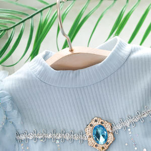 2022 Tüll <span class=keywords><strong>2</strong></span> bis 6 Jahre Herbst neue Modell kleider für Mädchen - Product Image 6