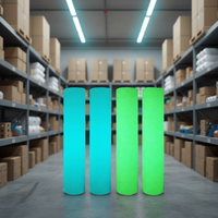 Autocollants Lumineux Fluorescents en PVC Auto-Adhésifs Imperméables pour la Création de Lettrages et l'Impression de Logos avec Technologie Jet d'Encre